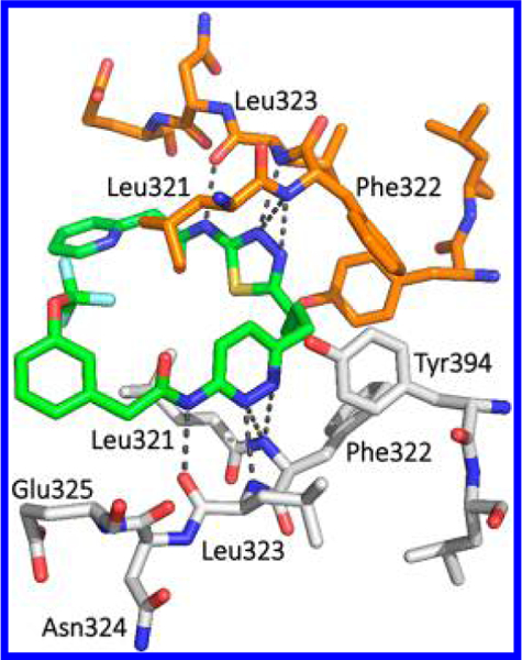 Figure 13.