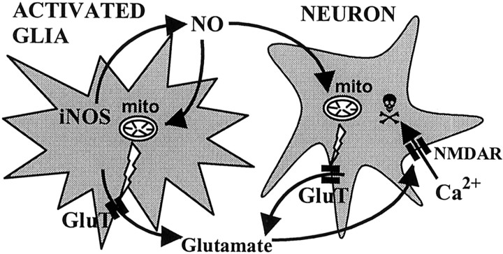 Fig. 11.