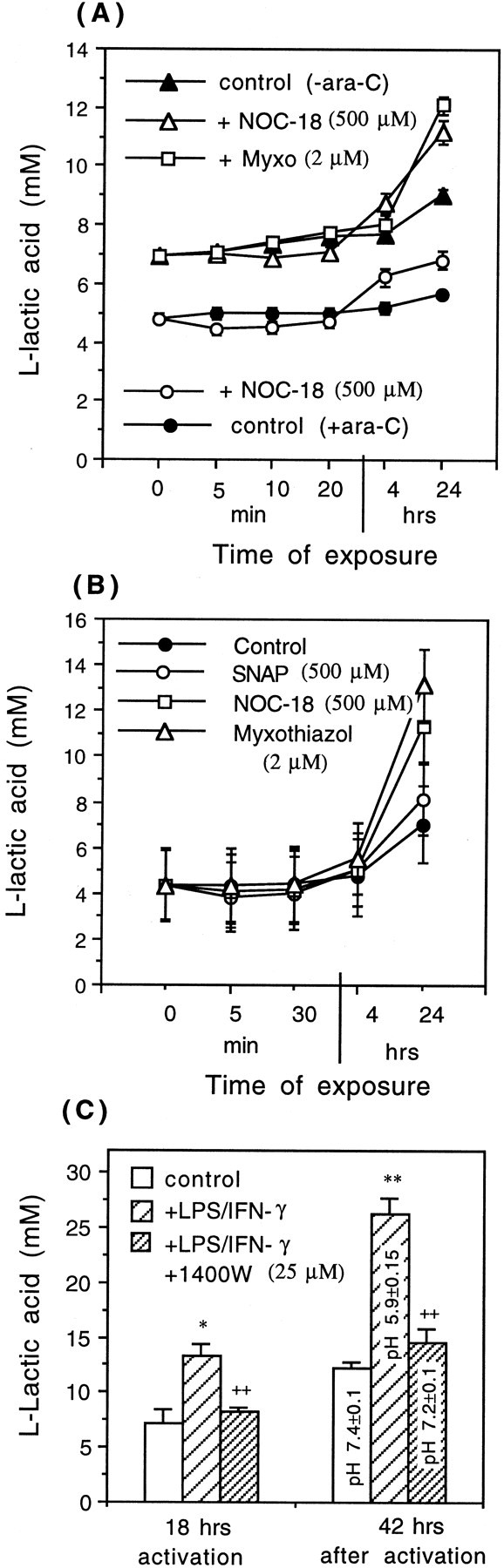 Fig. 9.