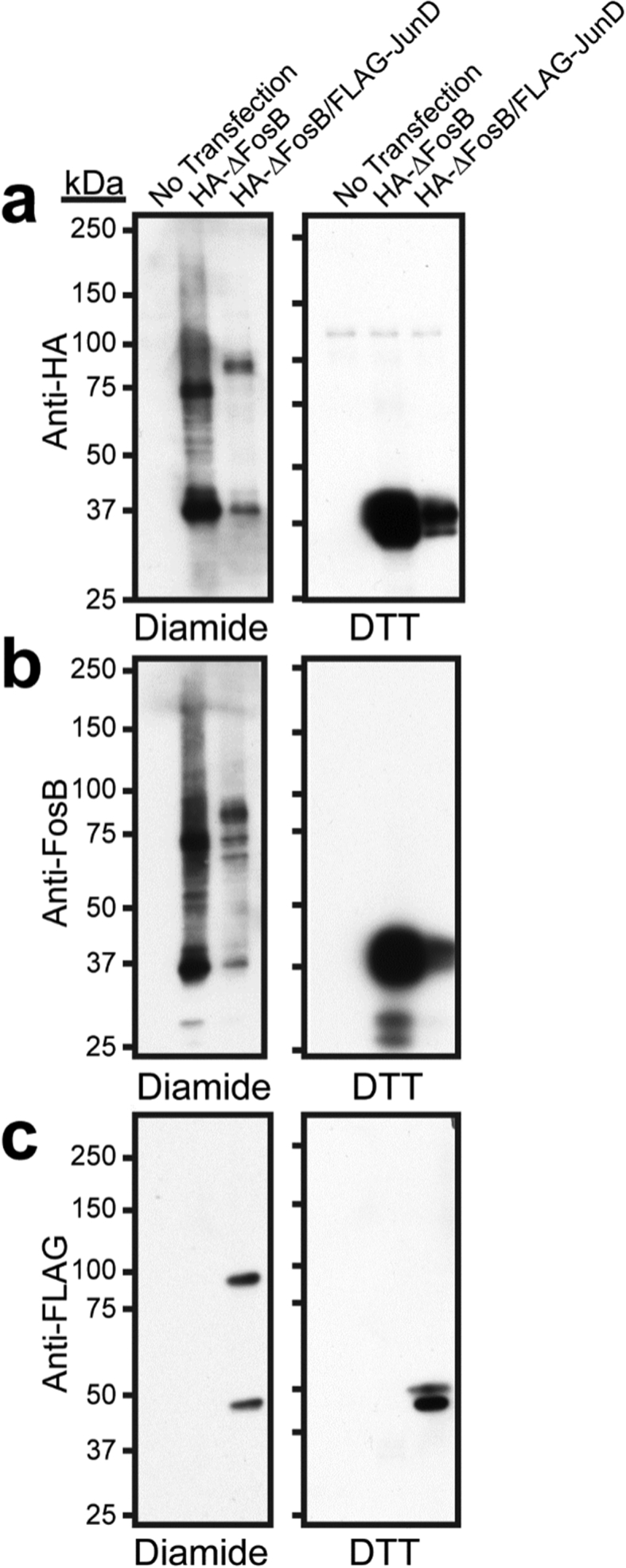 Fig. 6