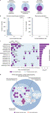 Fig. 6 |