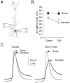 Fig. 8.