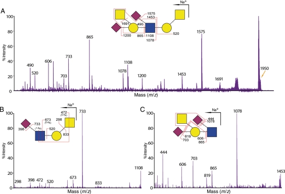 Fig. 7.