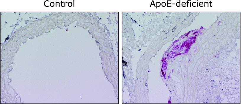 Fig. 2