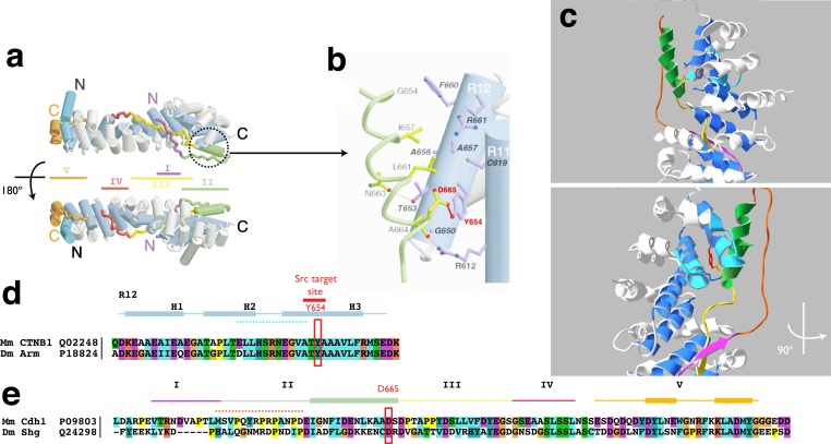 Figure 1—figure supplement 1.