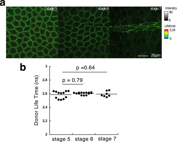 Figure 2—figure supplement 2.