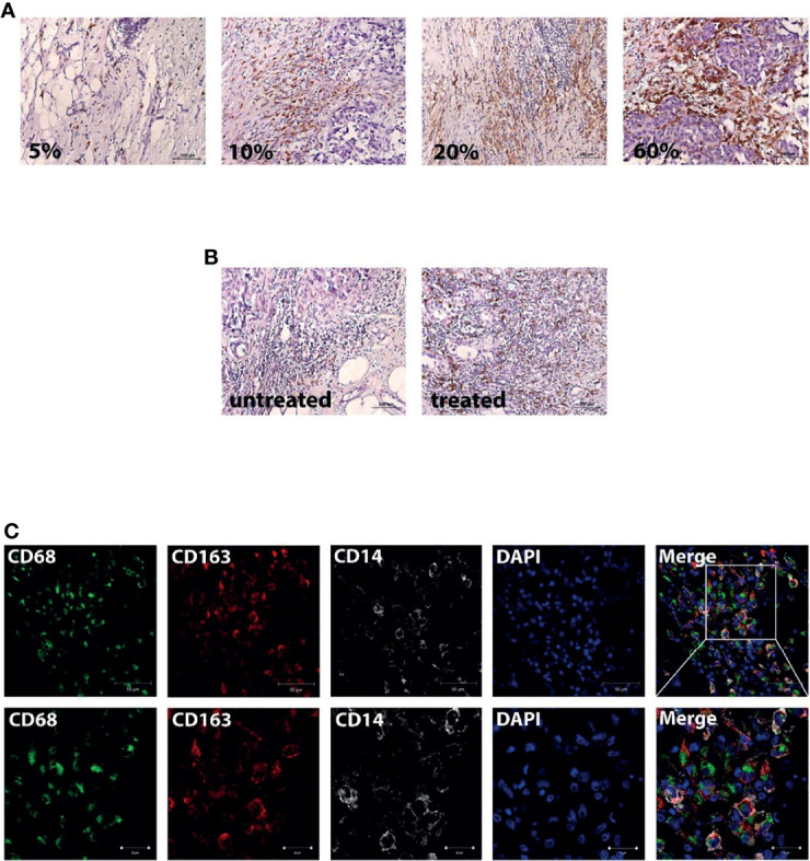 Figure 4