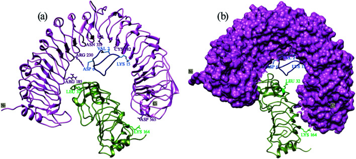 Fig. 7