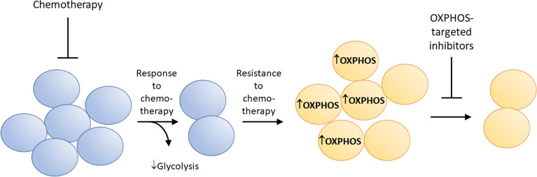 Figure 6