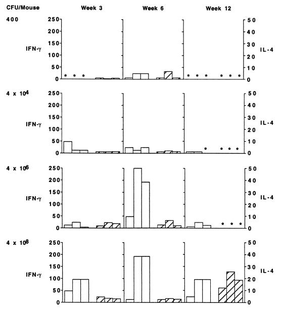 FIG. 6