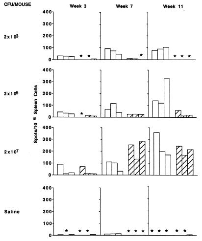 FIG. 7