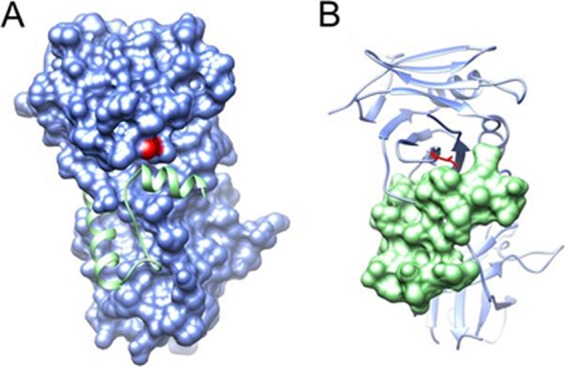 FIG 5