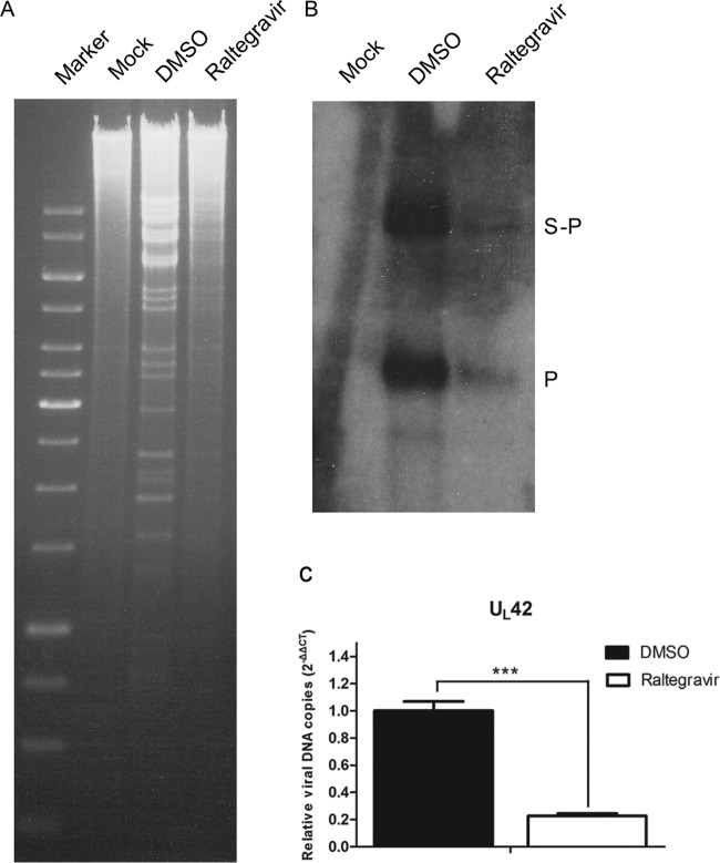 FIG 2