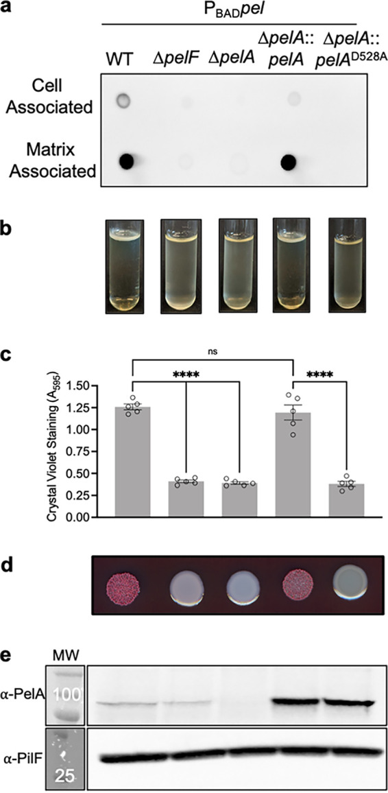 FIG 1