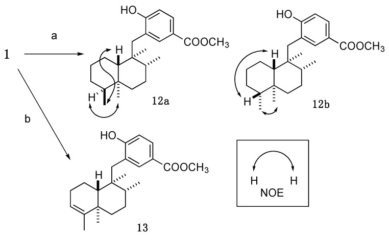 Scheme 2