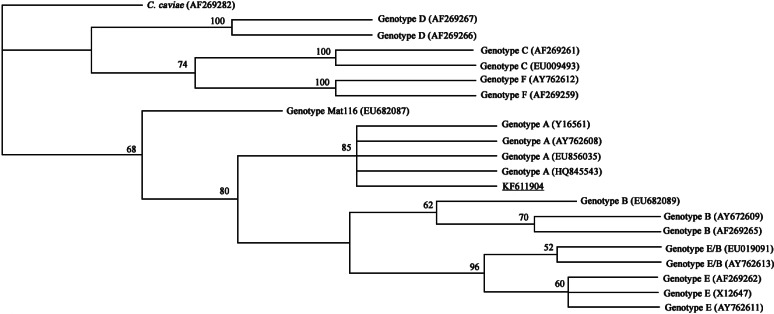 Fig. 2.