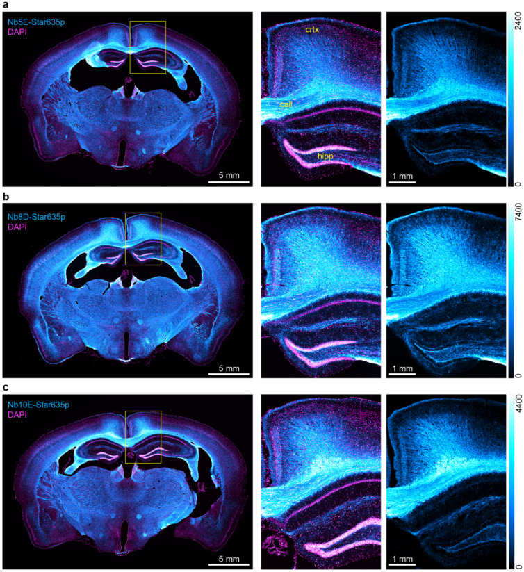 Figure 7.