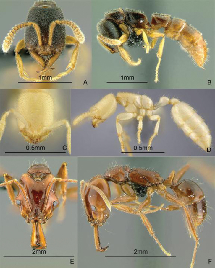 Figure 10.