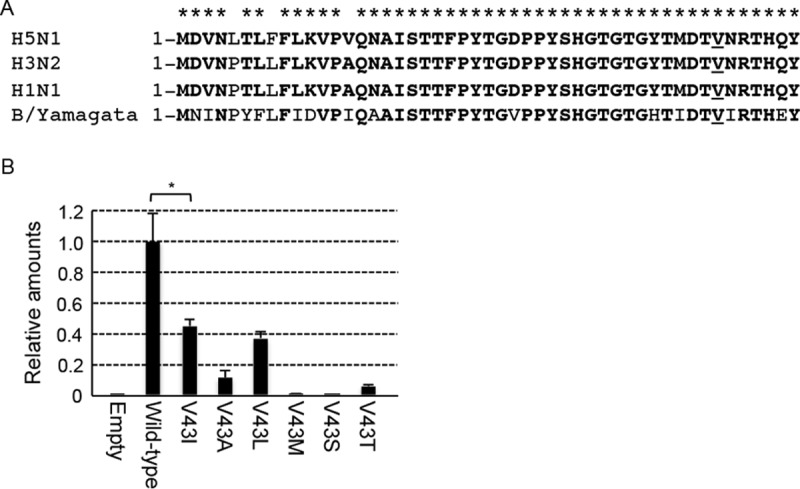 FIG 1