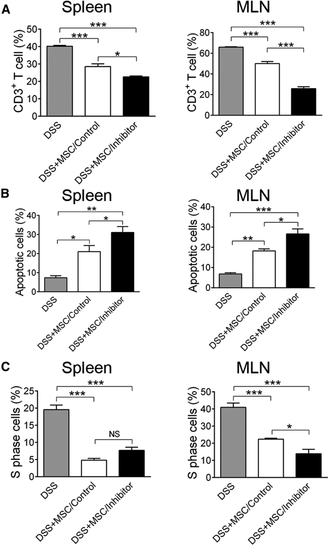 Figure 5