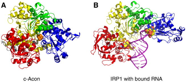 Fig. 6