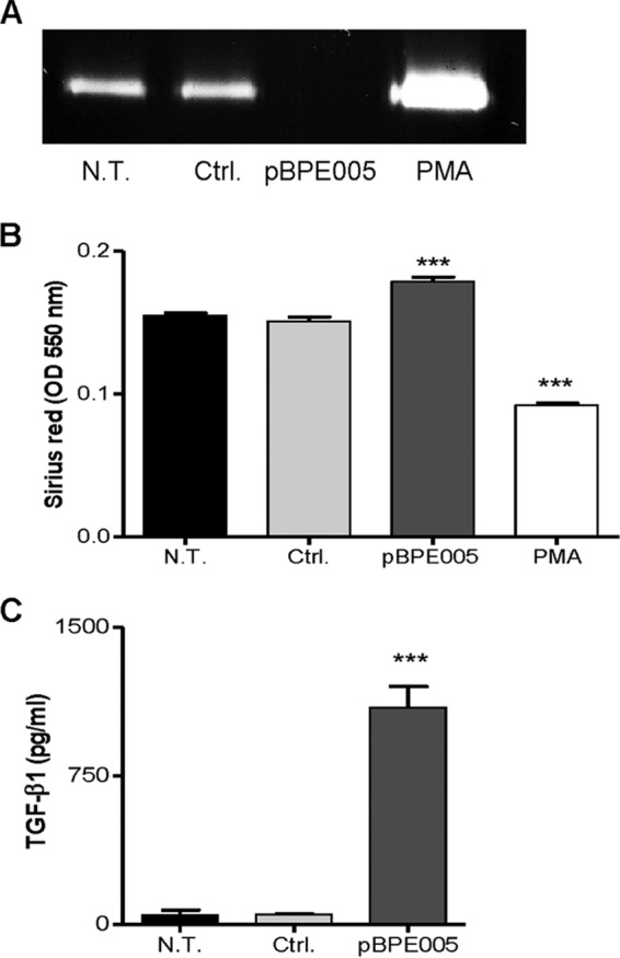 FIG 3