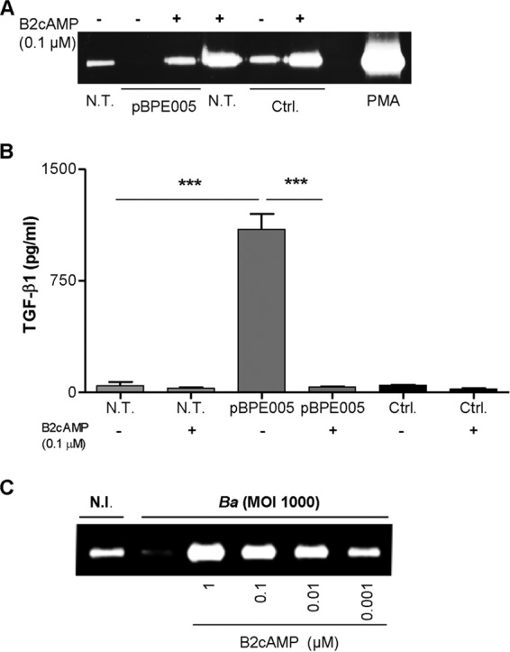 FIG 4