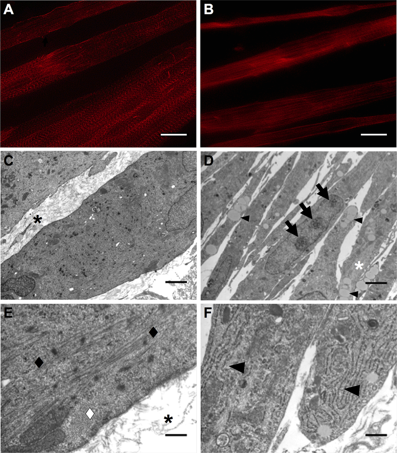 Figure 5: