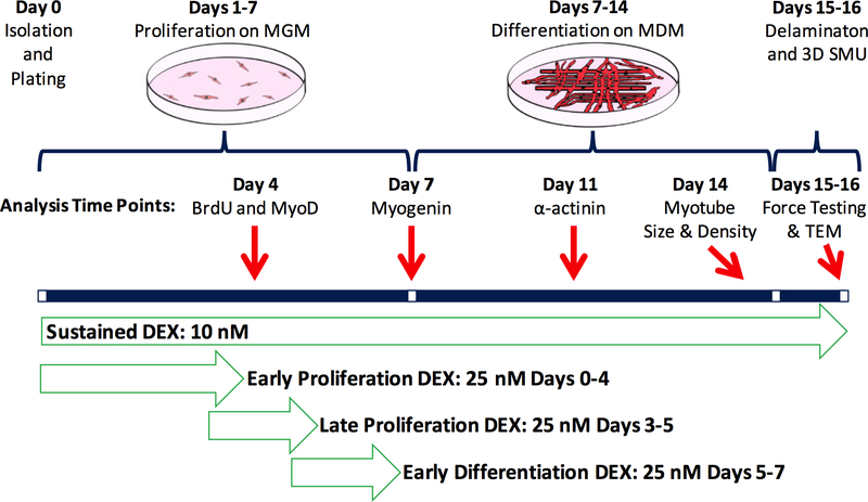 Figure 1: