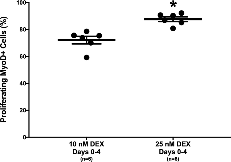 Figure 2: