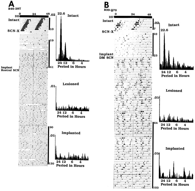 Fig. 11.