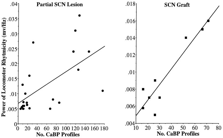 Fig. 12.