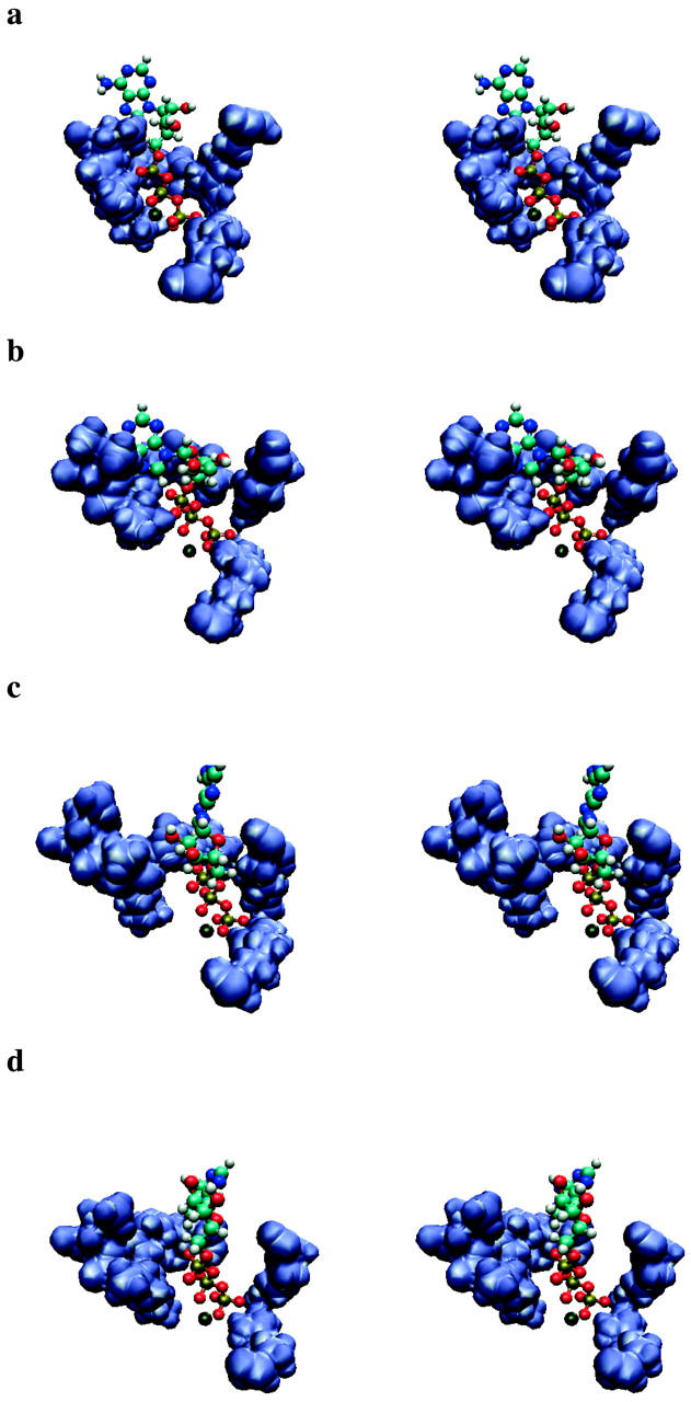 FIGURE 4