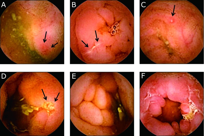 Fig. 2