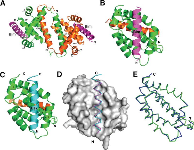 FIG 1