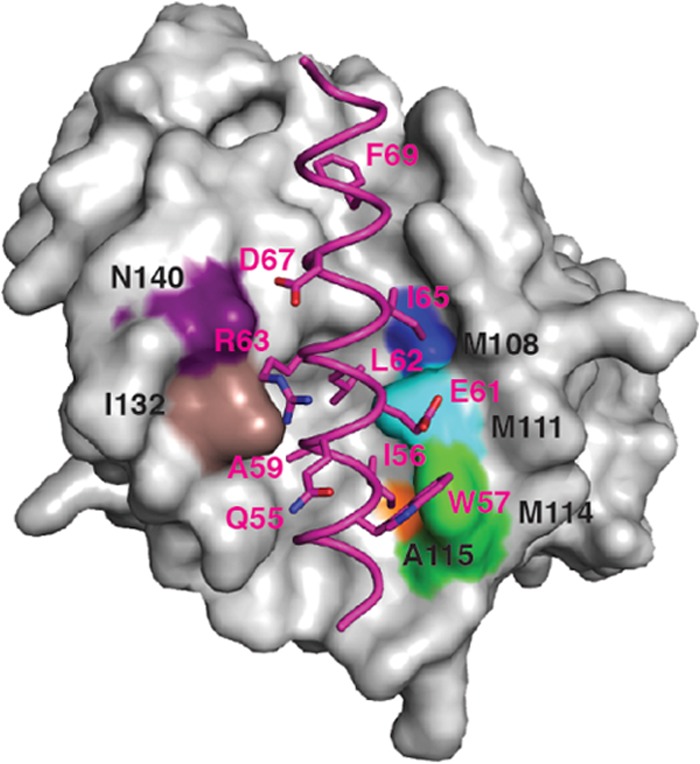 FIG 3