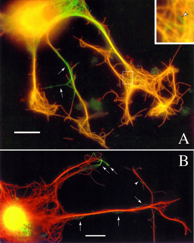 Fig. 6.