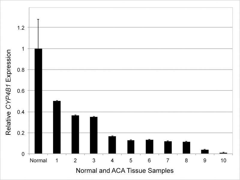 Fig 2.