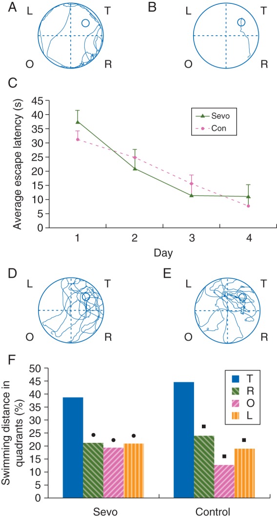 Fig 2