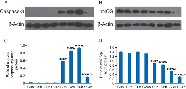 Fig 3