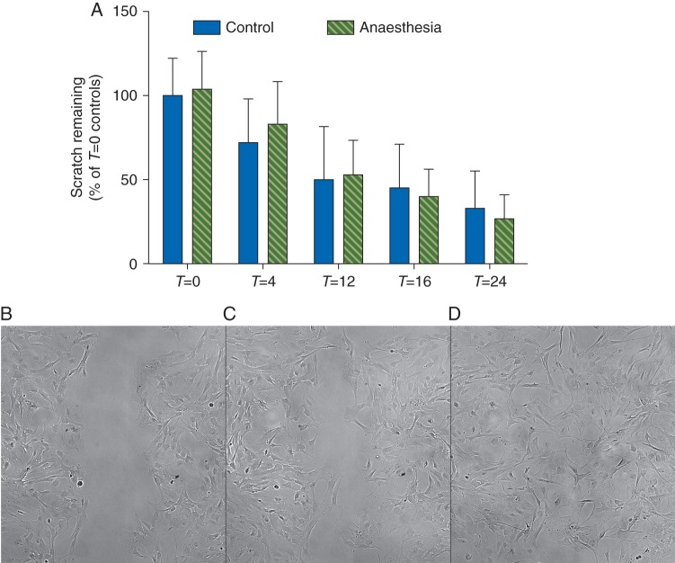 Fig 3