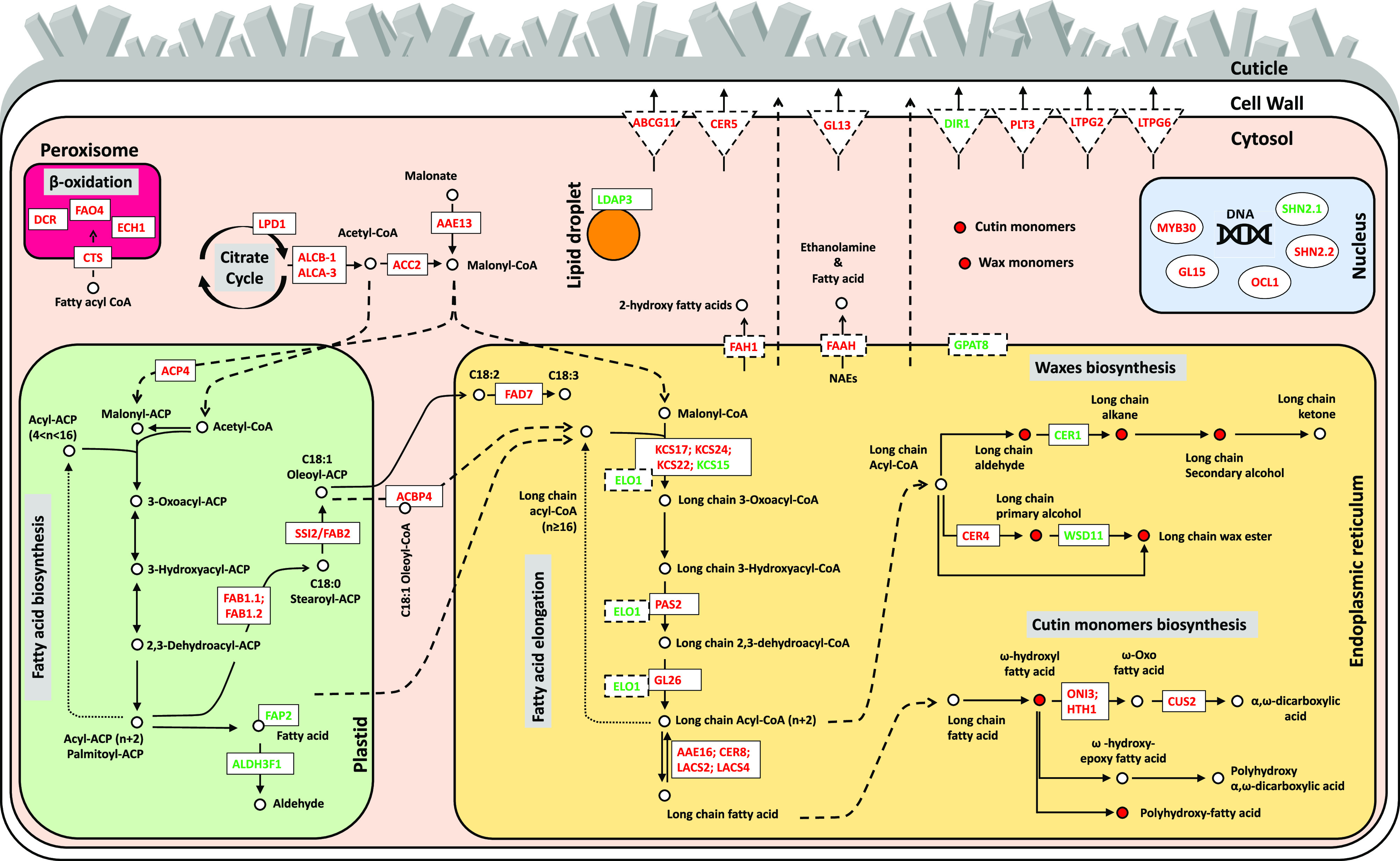 Figure 4.