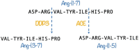Fig. 17
