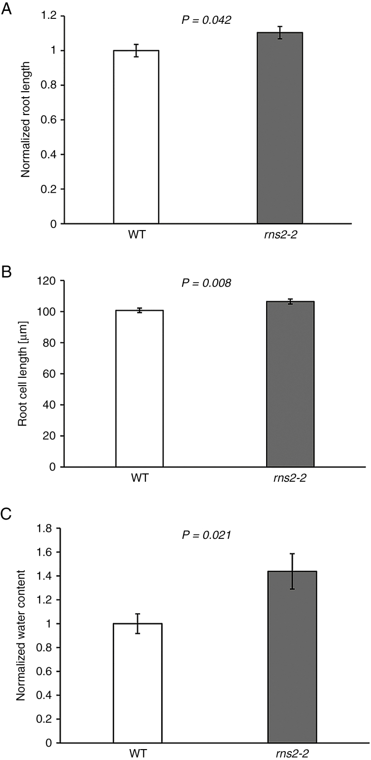 Fig. 6.