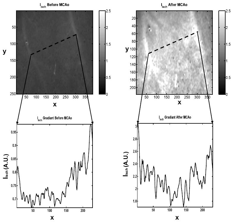 Fig. 7