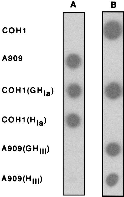 FIG. 6