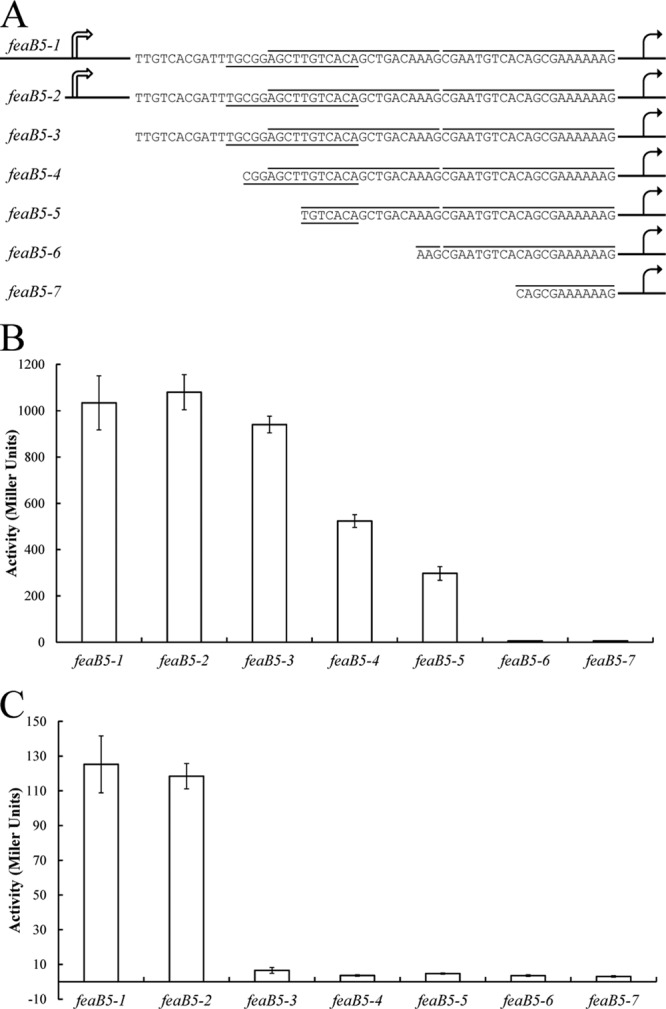 Fig 5