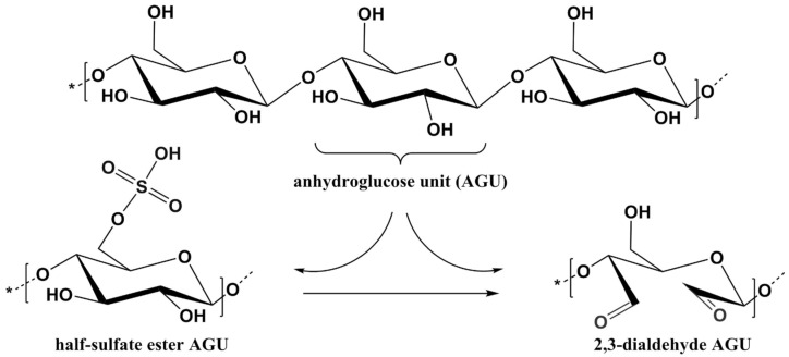 Scheme 5