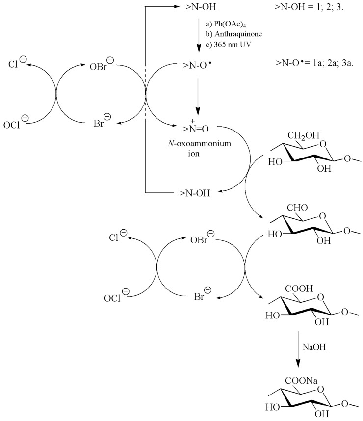 Scheme 3