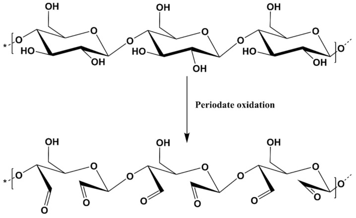 Scheme 4